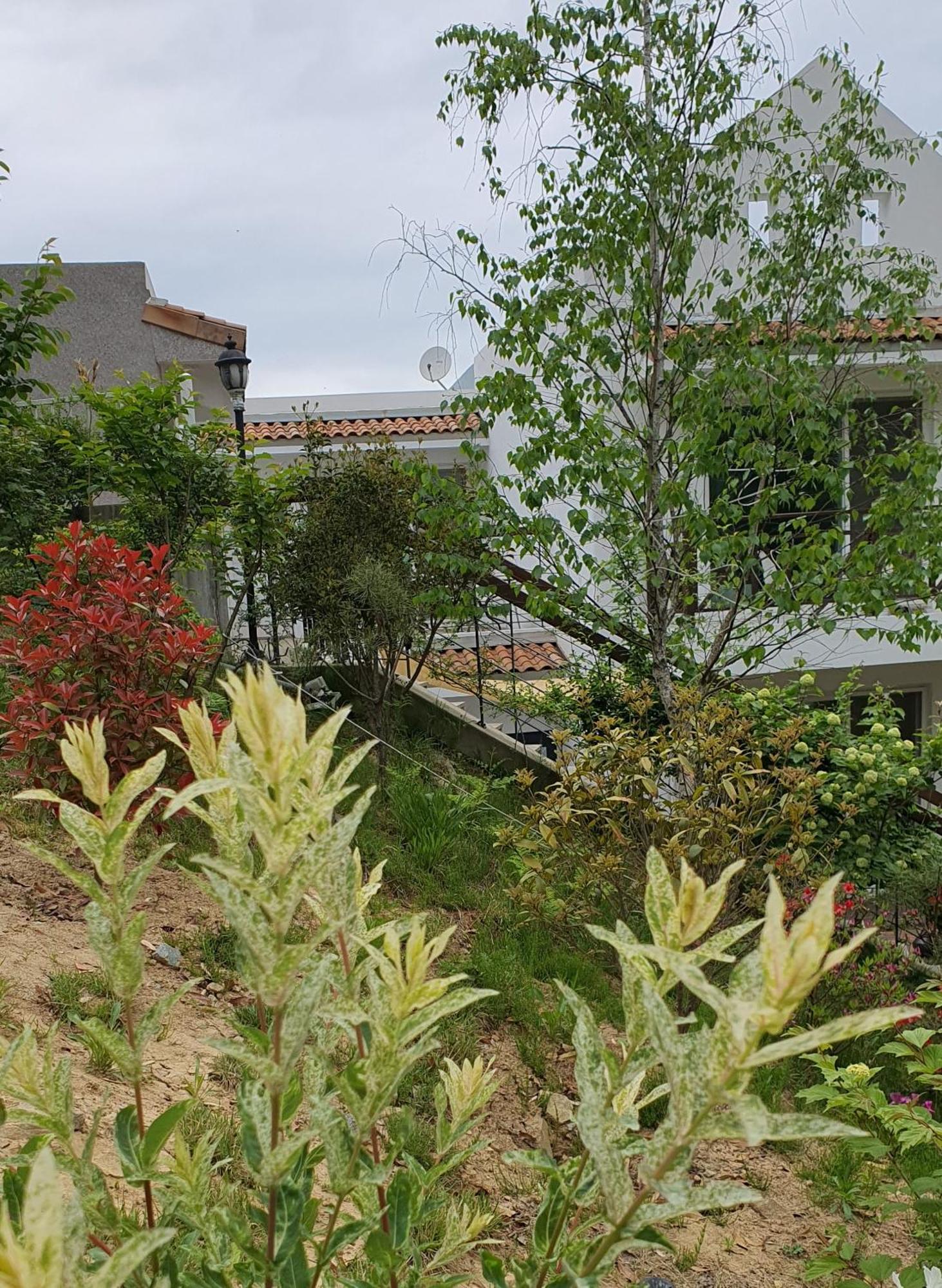 Saint Paul De Vence Villa Damyang Room photo
